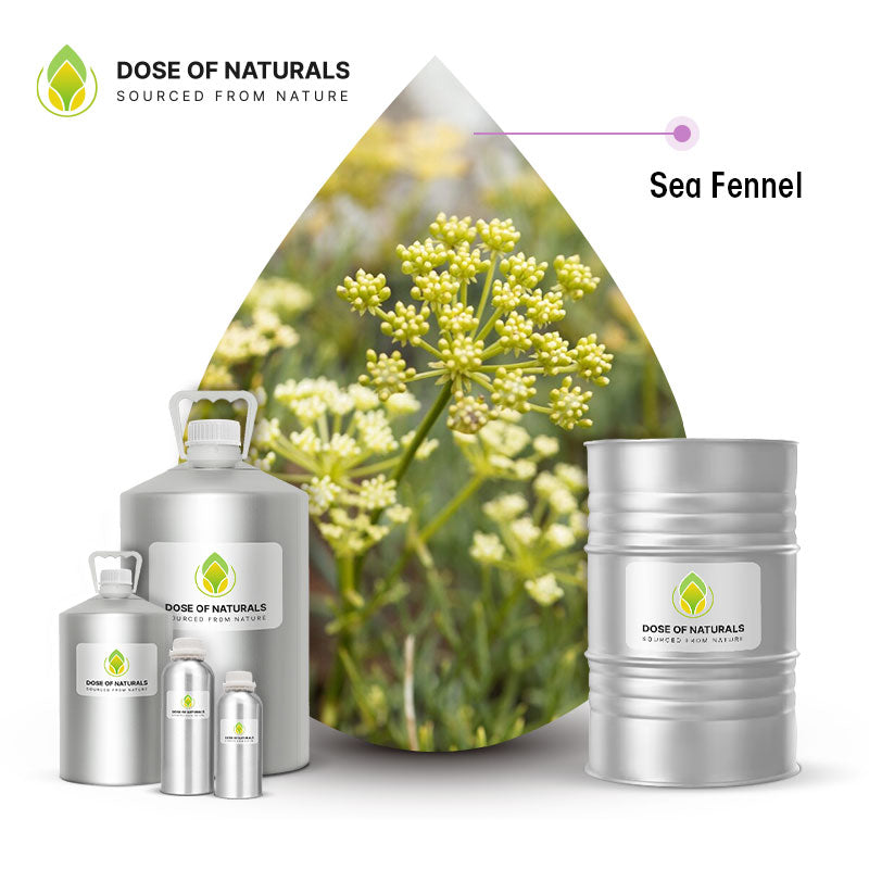 Sea Fennel Essential Oil