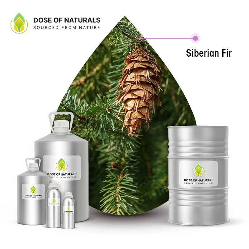 Siberian Fir Essential Oil