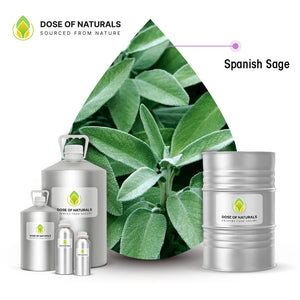 Spanish Sage Essential Oil