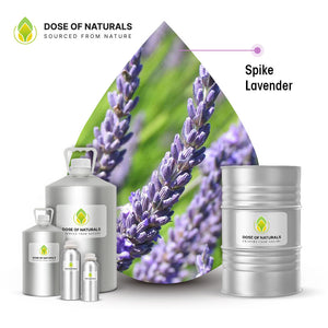 Spike Lavender Essential Oil