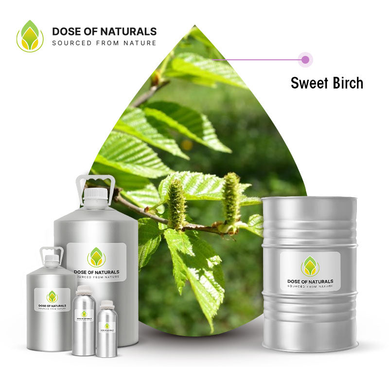 Sweet Birch Essential Oil