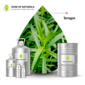 Tarragon (Estragon) Essential Oil