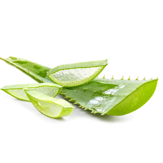 aloe vera hydrosol