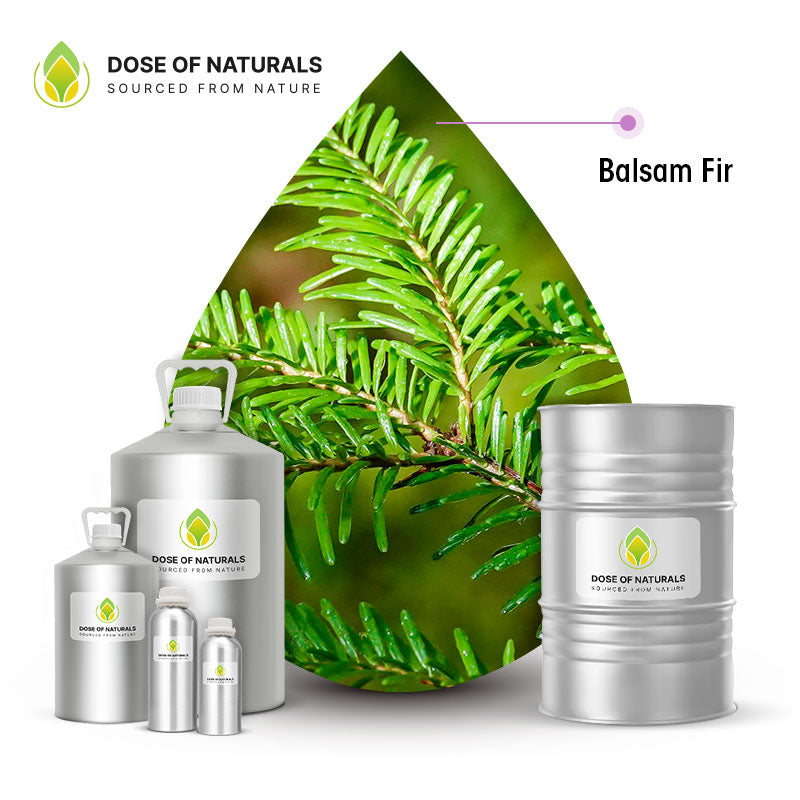 balsam fir essential oil