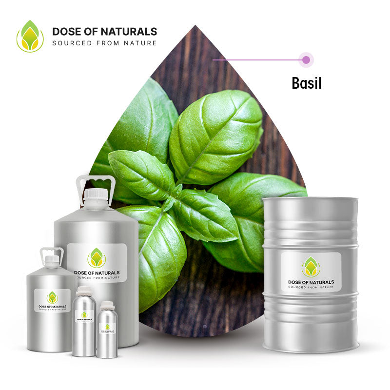 basil essential oil