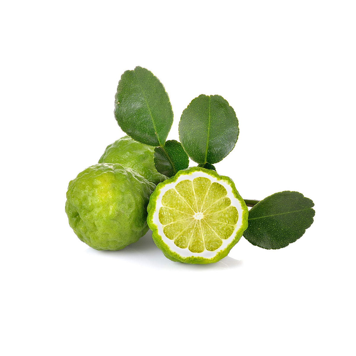 bulk Kaffir Lime Essential Oil