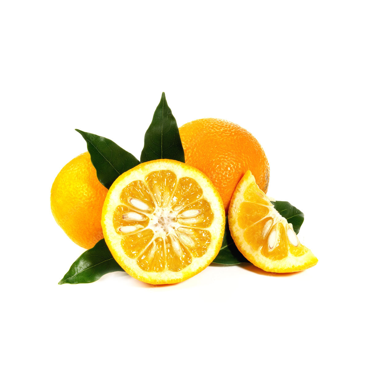 bulk bitter orange essential oil