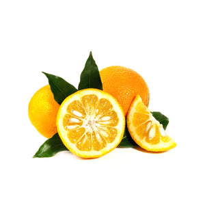 bulk bitter orange essential oil