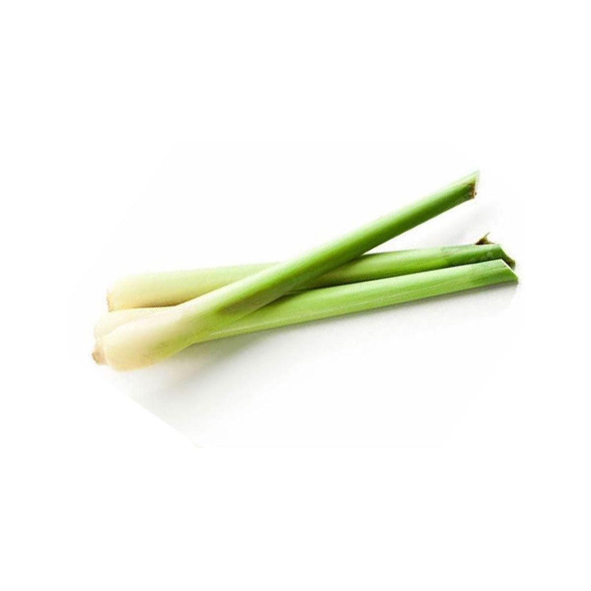 bulk jamarosa essential oil