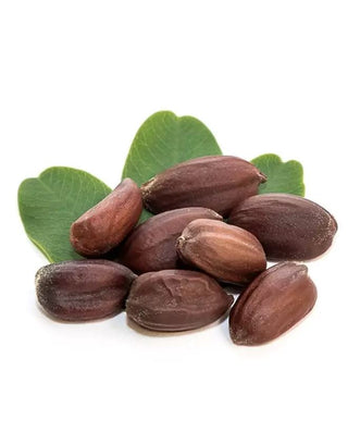 bulk jojoba oil