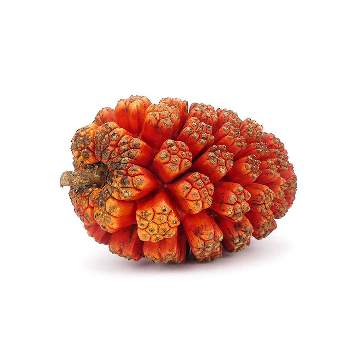 bulk kewda essential oil