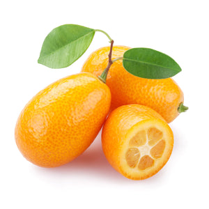 bulk kumquat essential oil
