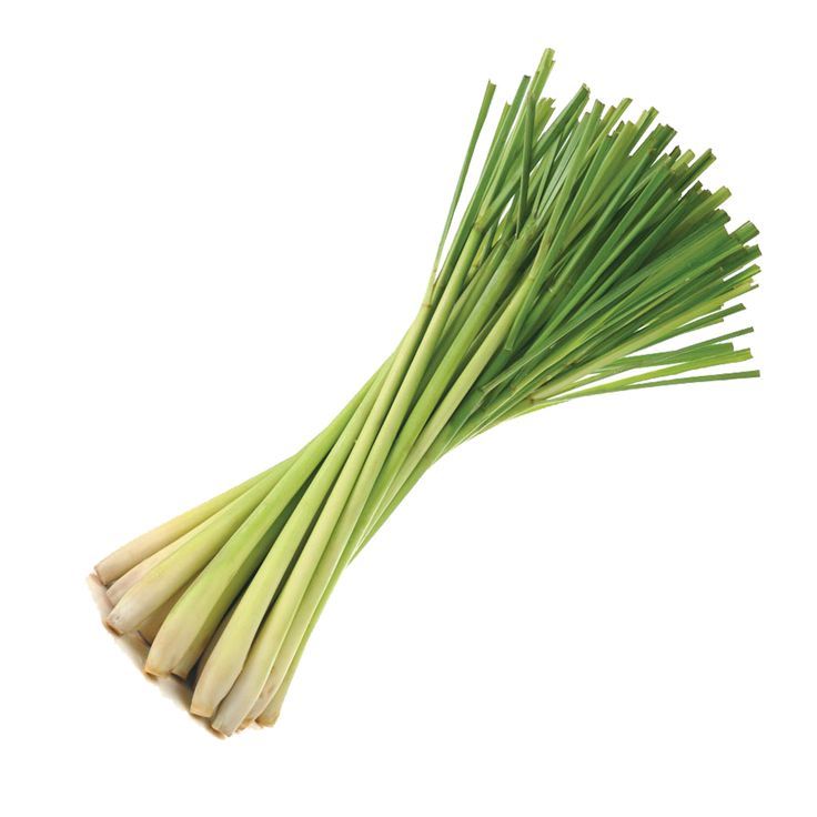 bulk lemongrass essential oil