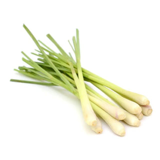 bulk lemongrass hydrosol