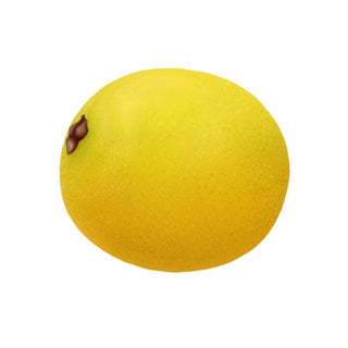 bulk marula oil