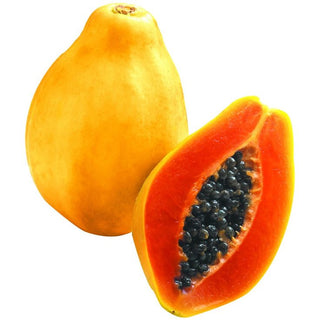 bulk papaya seed oil