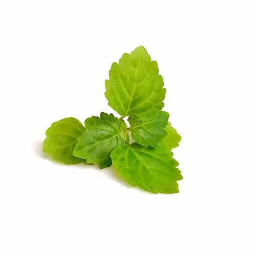 bulk patchouli essential oil