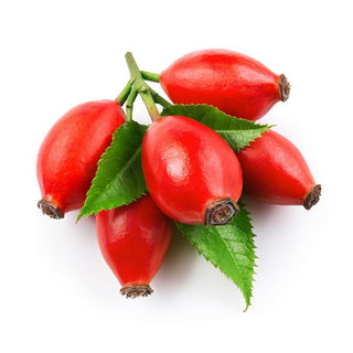 bulk rose hip oil