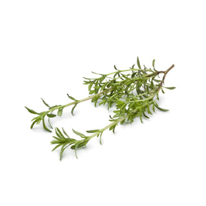 bulk savory essential oil