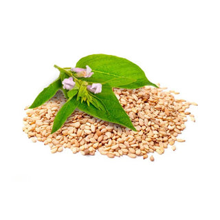 bulk sesame seed oil