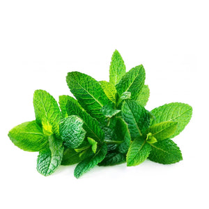 bulk spearmint hydrosol