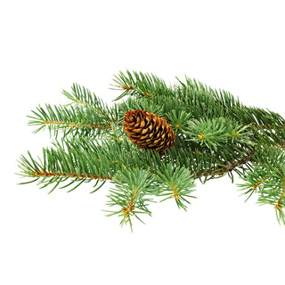 bulk spruce essential oil