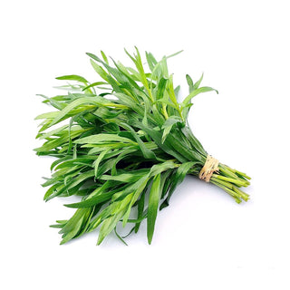 bulk tarragon essential oil