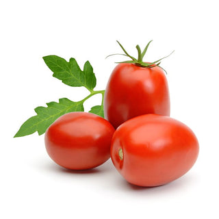 bulk tomato seed oil