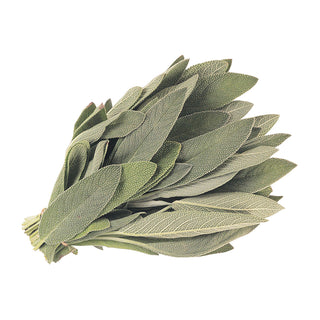 bulk white sage essential oil