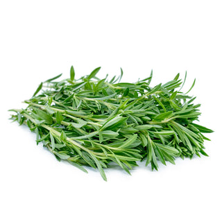 bulk winter savory oil