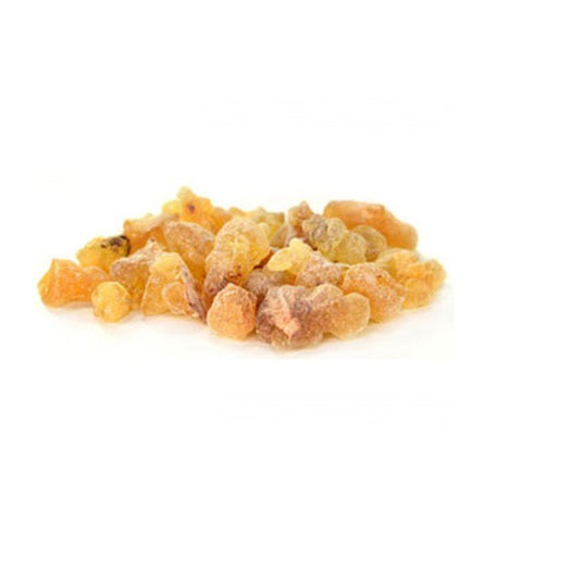 buy galbanum essential oil