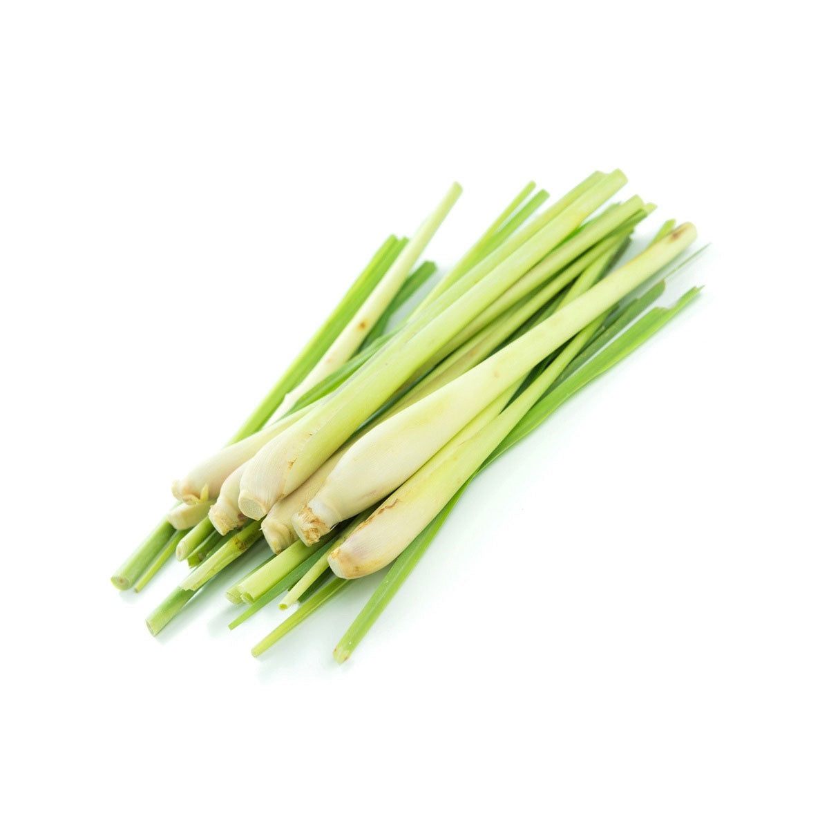 buy ginger grass oil