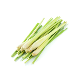 buy ginger grass oil