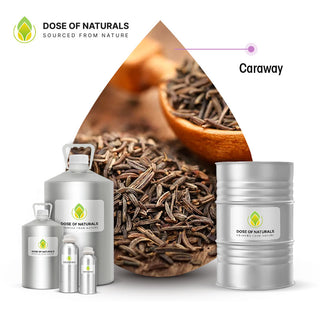 caraway oil