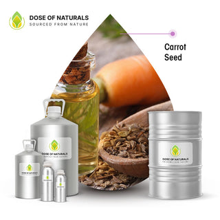 carrot seed oil