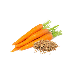 carrot seed oil