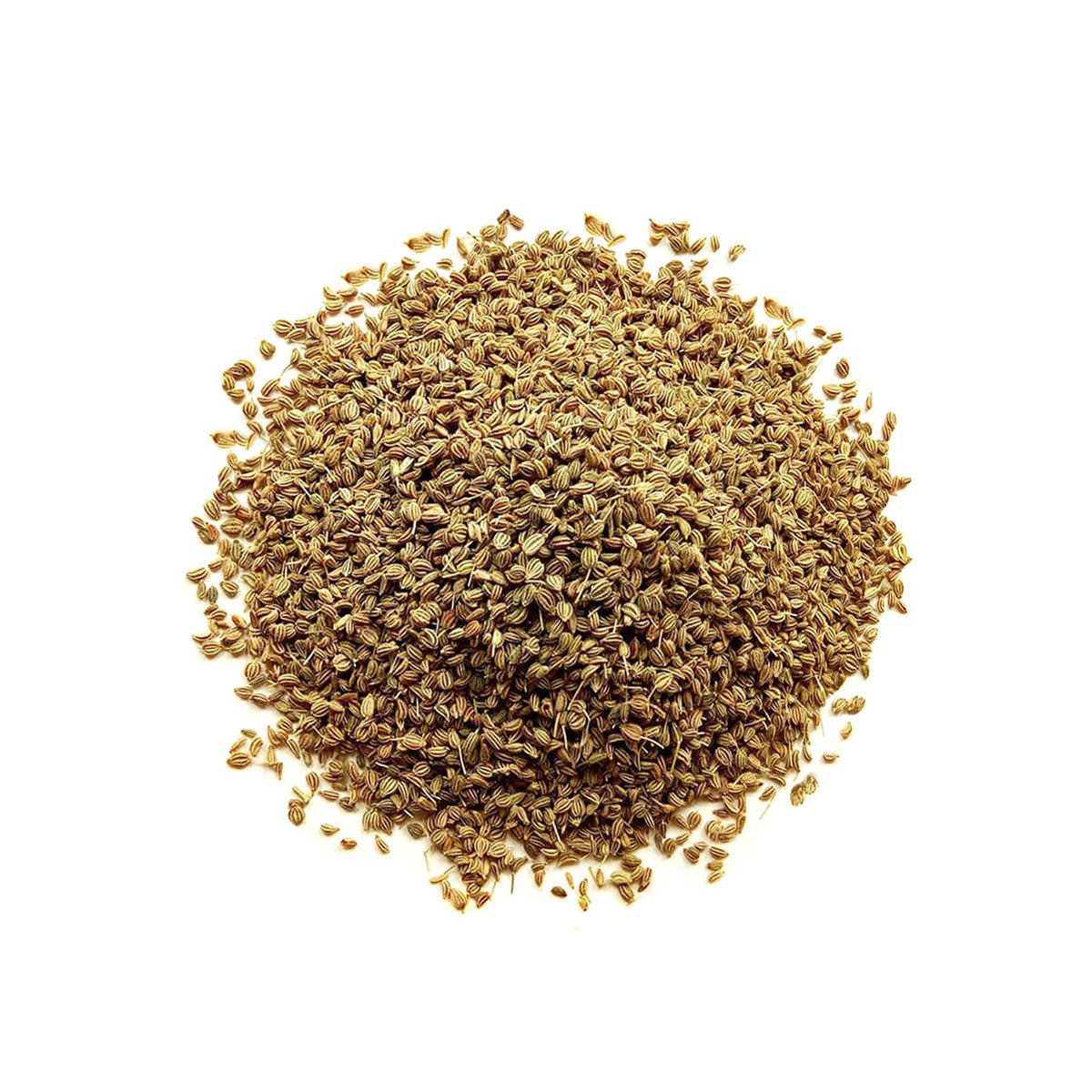 celery seed oil