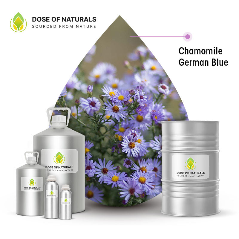 chamomile essential oil