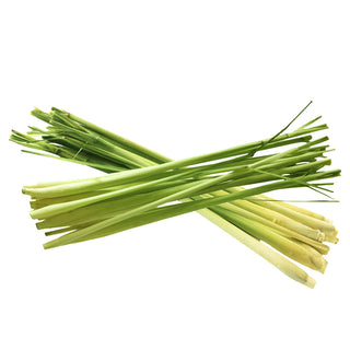 citronella essential oil