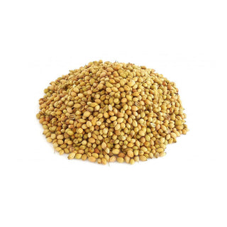 coriander seed oil