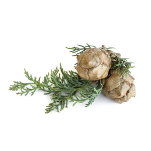 cypress essential oil