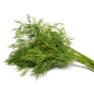 dill weed essential oil