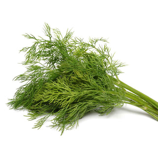 dill weed essential oil