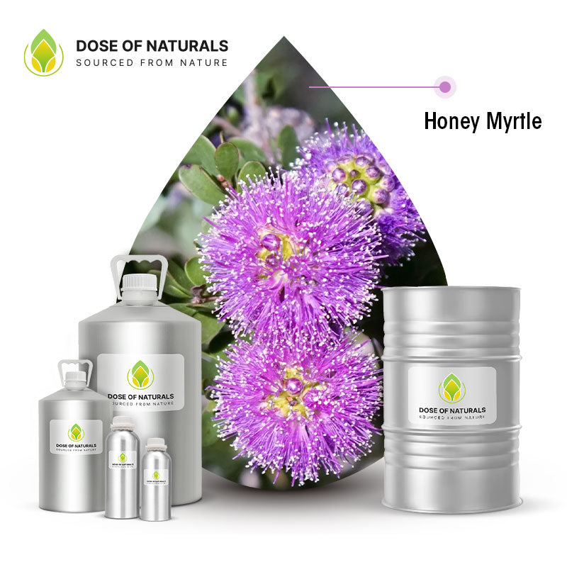 honey myrtle essential oil