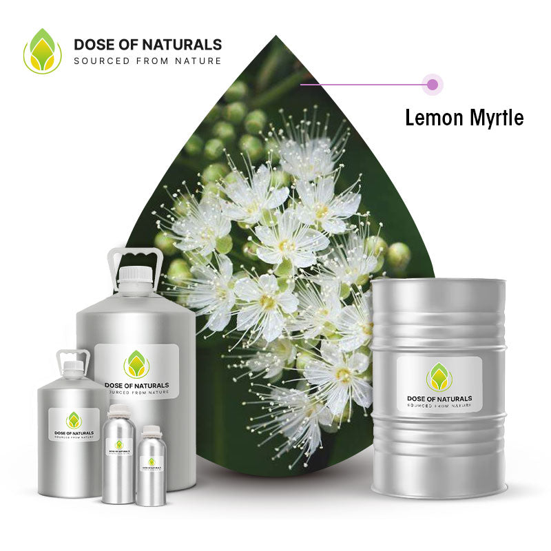 lemon myrtle essential oil