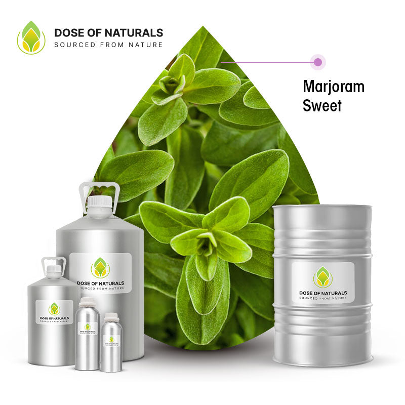 marjoram sweet essential oil