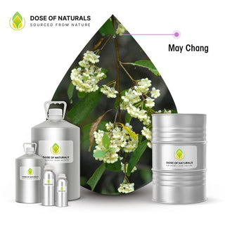may chang essential oil
