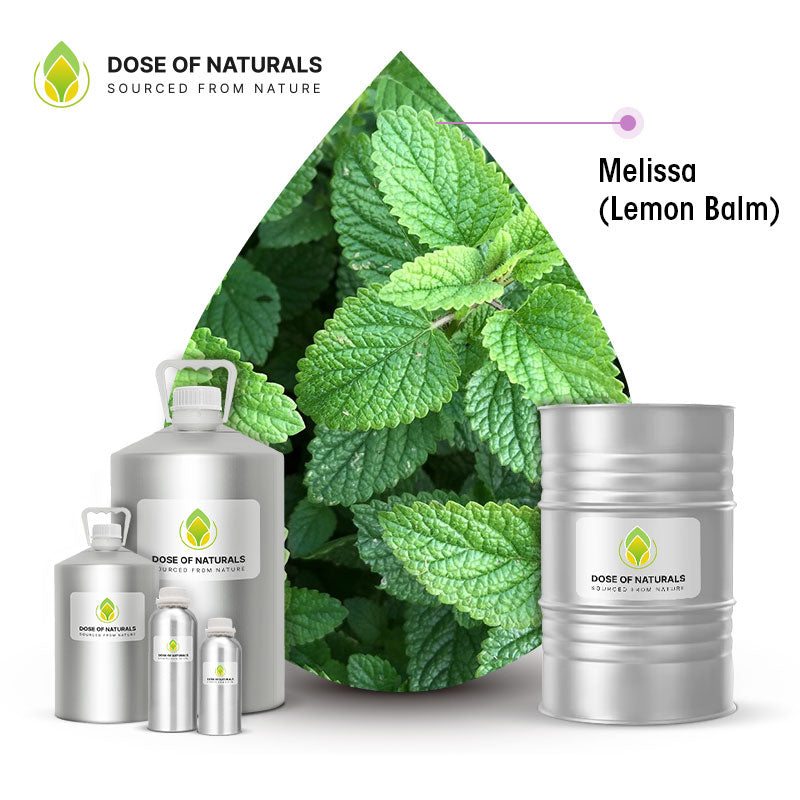 melissa lemon balm essential oil