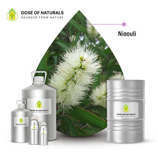 niaouli essential oil