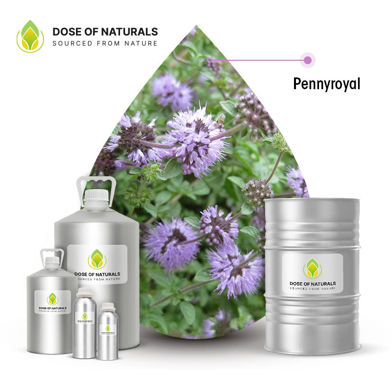 pennyroyal essential oil